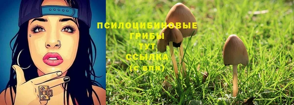 молекула духа Михайловск