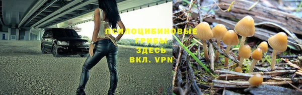 молекула духа Михайловск