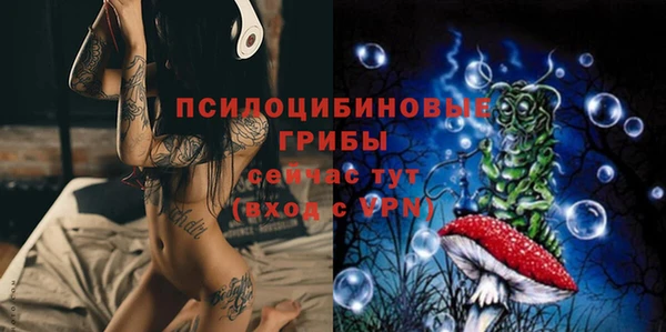 молекула духа Михайловск