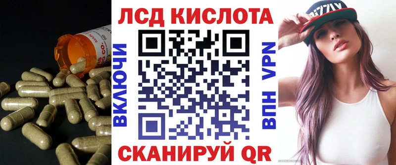 кракен ссылки  где купить наркоту  Новоалександровск  Лсд 25 экстази ecstasy 