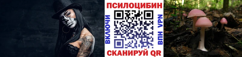 где купить   Новоалександровск  маркетплейс какой сайт  Псилоцибиновые грибы мухоморы 