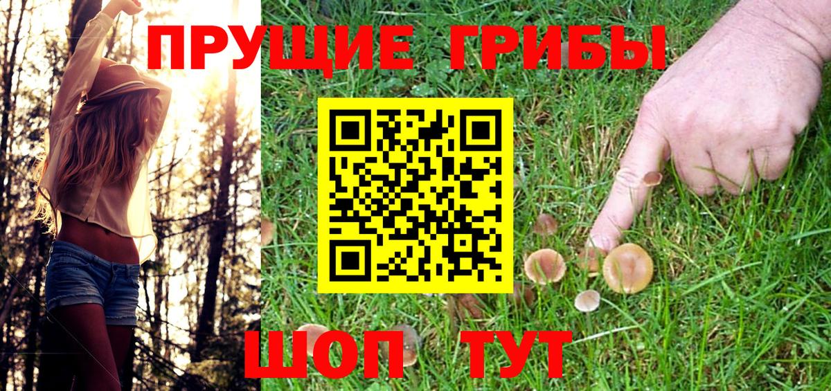 Галлюциногенные грибы MAGIC MUSHROOMS Новоалександровск