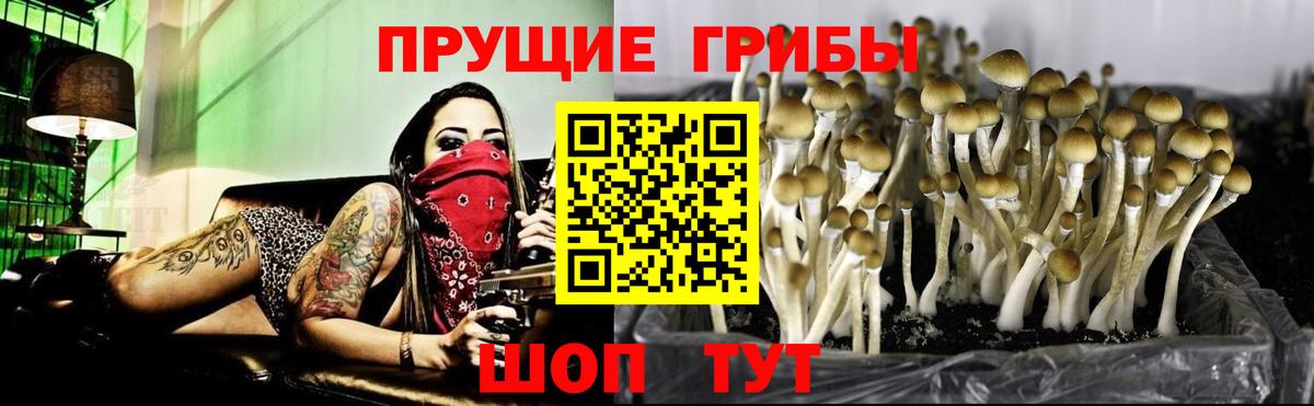 Псилоцибиновые грибы мухоморы Новоалександровск